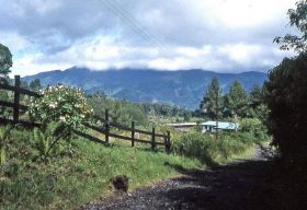 Path  to Cerra Punta, Panama – Best Places In The World To Retire – International Living